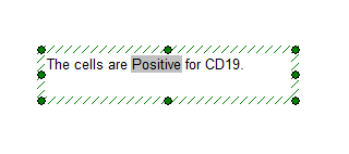 图18.21  Text Box with Statistic Classifier (带有统计分类器标记的文本框)